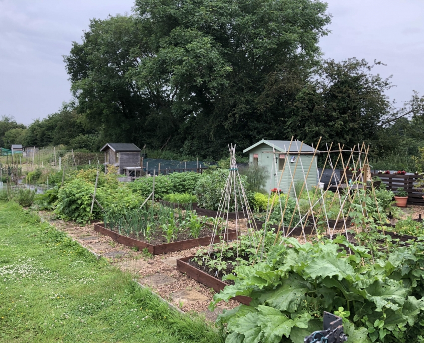 Allotments